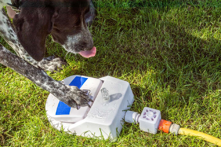 KARLIE Wasserfontaine "Splashy"